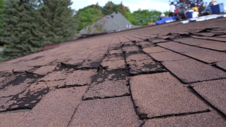 Best Cold Roofs  in Tipp City, OH