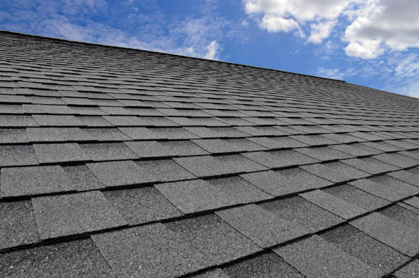 Best Skylight Installation and Repair  in Tipp City, OH
